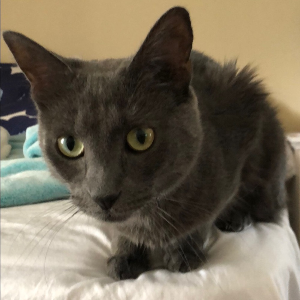 I DO NOT DECLINE OFFERS